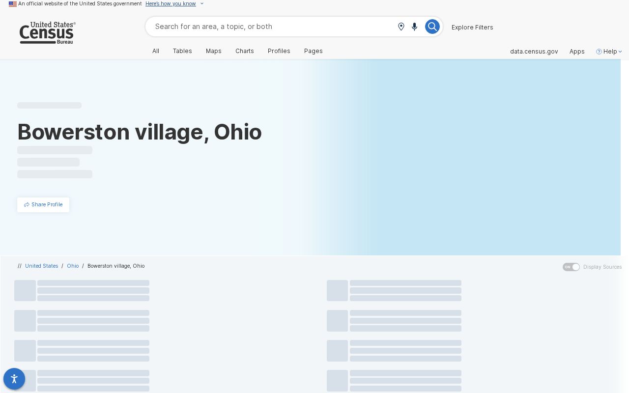 Bowerston court records Census profile and village context
